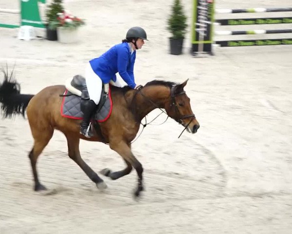 Reitturnier Oberriet 2020