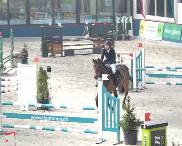 Reitturnier Oberriet 2020