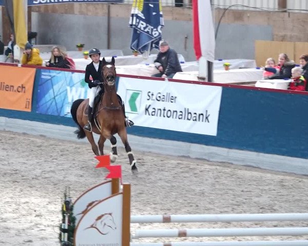 Reitturnier Oberriet 2020