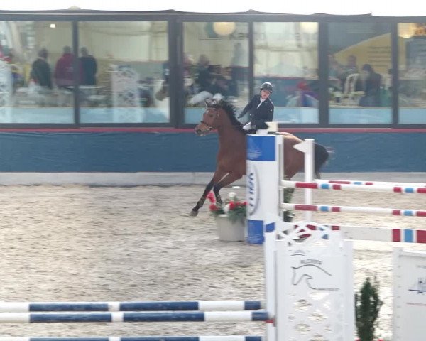 Reitturnier Oberriet 2020