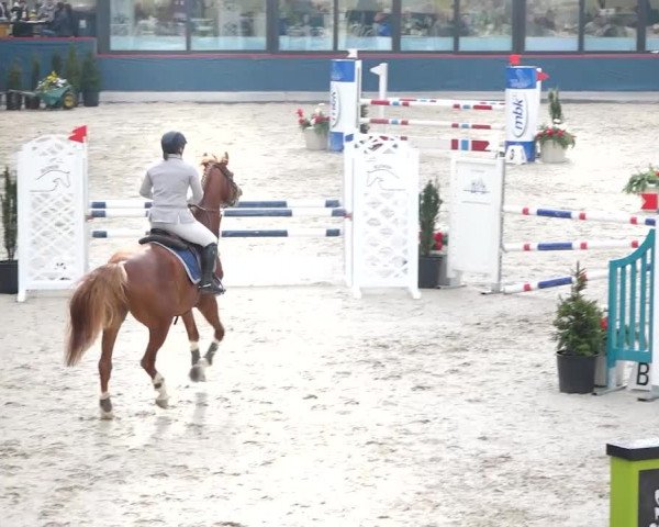 Reitturnier Oberriet 2020