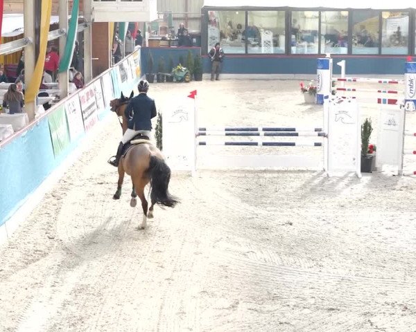 Reitturnier Oberriet 2020