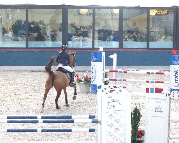 Reitturnier Oberriet 2020