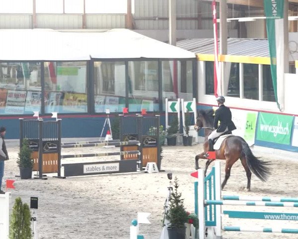 Reitturnier Oberriet 2020