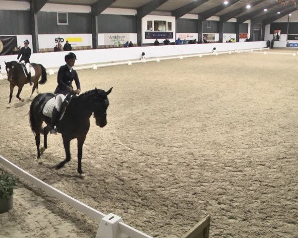 Reitturnier Karlsfeld/Obb. 2020