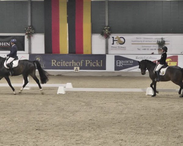 Reitturnier Karlsfeld/Obb. 2020