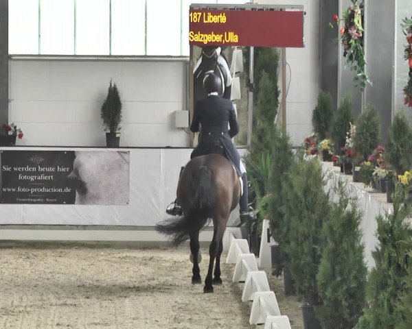 Reitturnier Karlsfeld/Obb. 2020