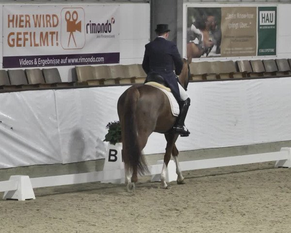 Reitturnier Karlsfeld/Obb. 2020