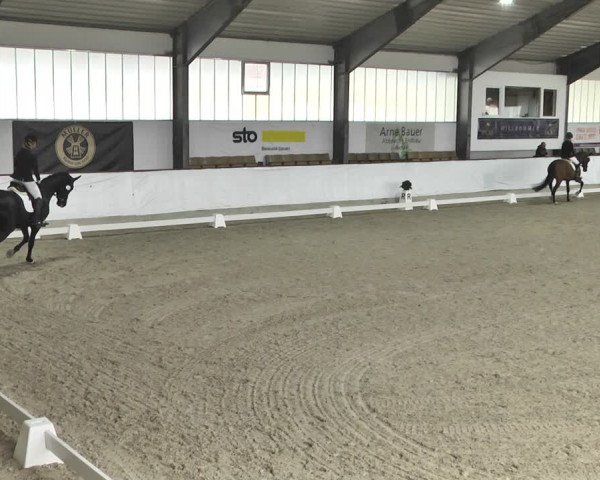 Reitturnier Karlsfeld/Obb. 2020