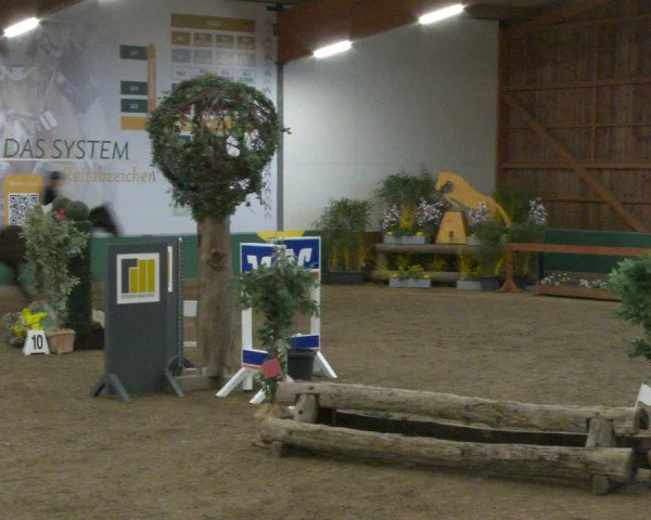 Equestrian Show Warendorf-Freckenhorst 2020