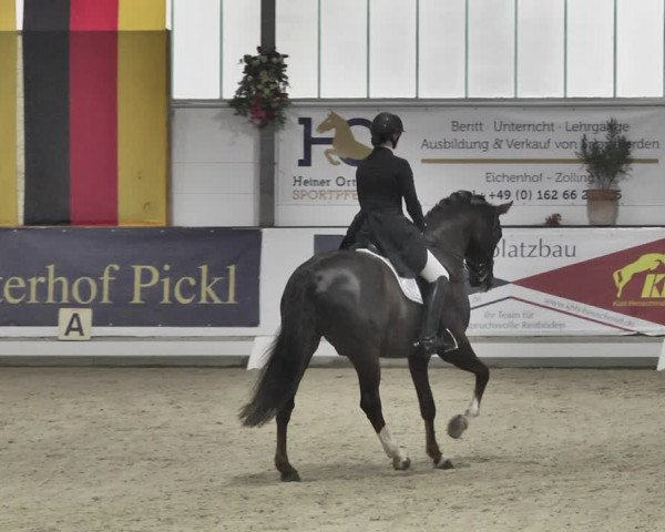 Reitturnier Karlsfeld/Obb. 2020