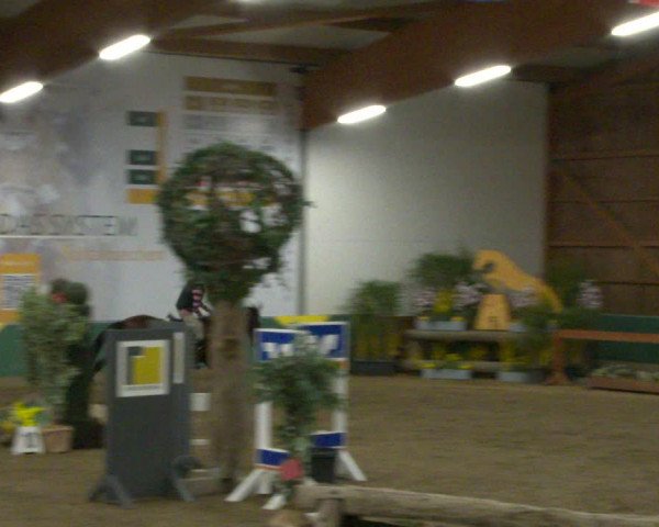 Reitturnier Warendorf-Freckenhorst 2020