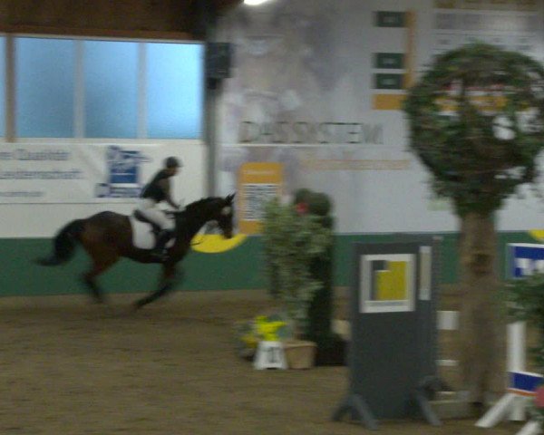 Reitturnier Warendorf-Freckenhorst 2020