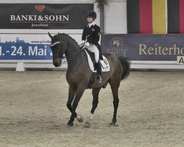 Reitturnier Karlsfeld/Obb. 2020