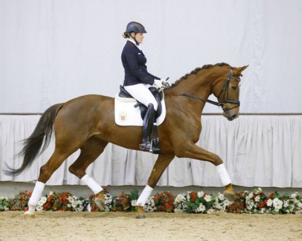 Fattrice Valencia 91 (Westfale, 2011, di Vitalis)