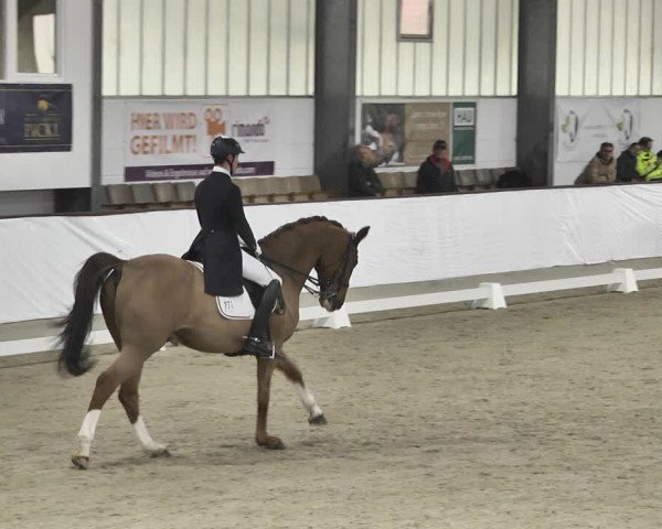 Reitturnier Karlsfeld/Obb. 2020