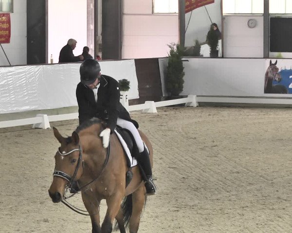 Reitturnier Karlsfeld/Obb. 2020
