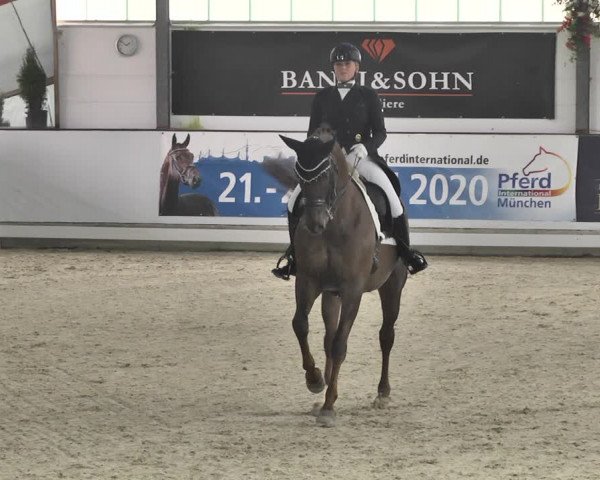 Reitturnier Karlsfeld/Obb. 2020