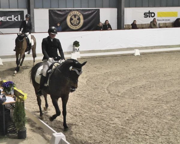 Reitturnier Karlsfeld/Obb. 2020