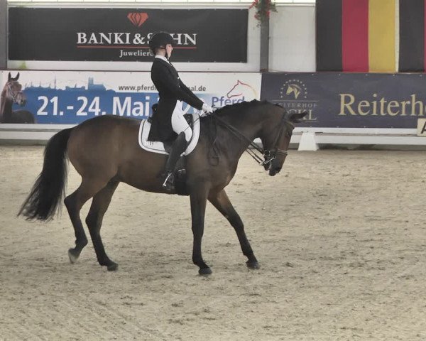 Reitturnier Karlsfeld/Obb. 2020