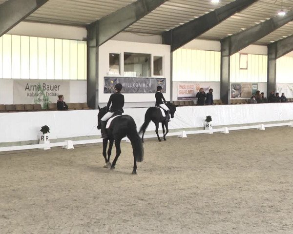 Reitturnier Karlsfeld/Obb. 2020