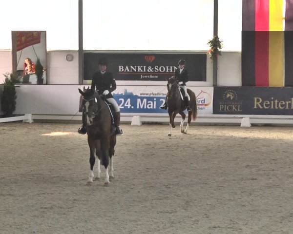 Reitturnier Karlsfeld/Obb. 2020