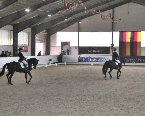 Reitturnier Karlsfeld/Obb. 2020