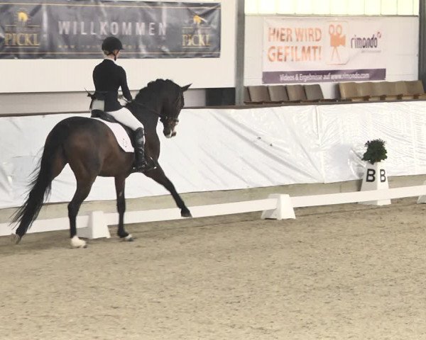 Reitturnier Karlsfeld/Obb. 2020
