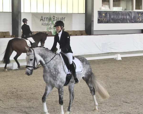 Reitturnier Karlsfeld/Obb. 2020