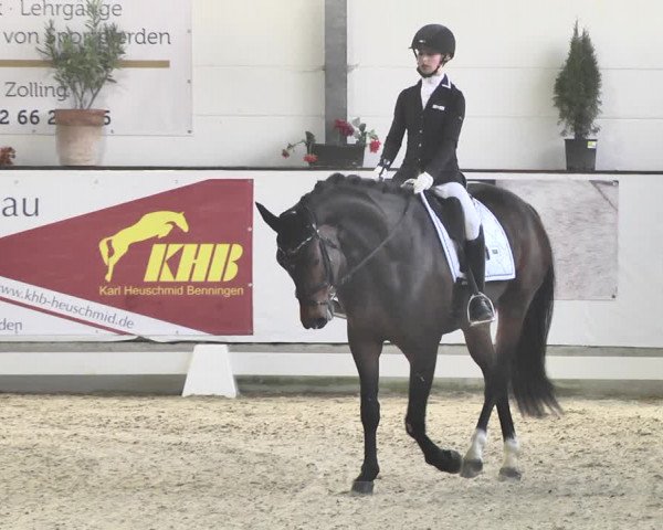 Reitturnier Karlsfeld/Obb. 2020