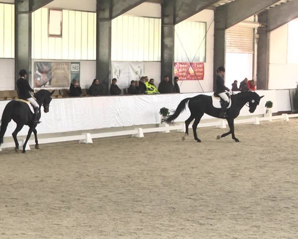 Reitturnier Karlsfeld/Obb. 2020