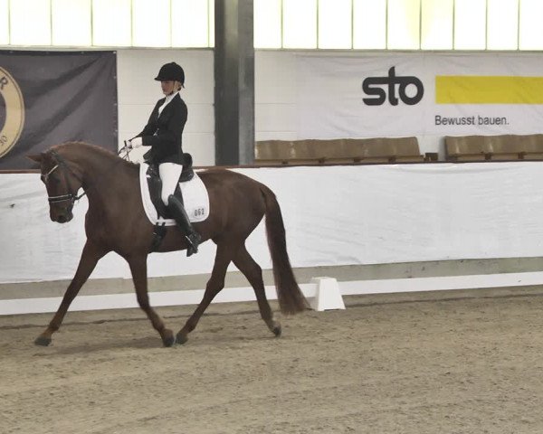 Reitturnier Karlsfeld/Obb. 2020