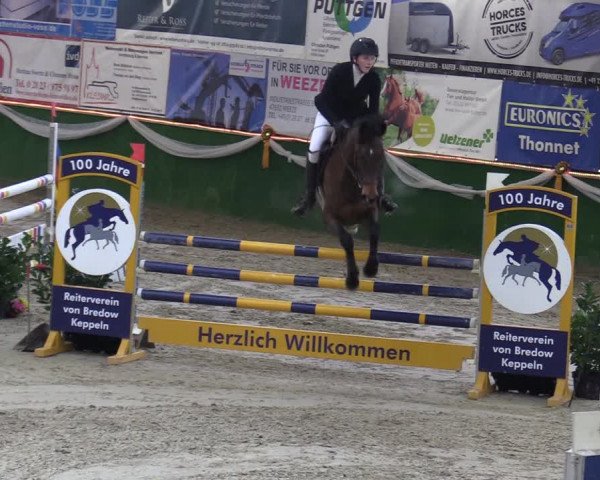 Reitturnier Keppeln - Reitanlage "Hötzenhof" 2020