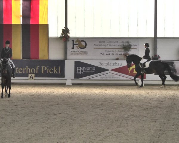 Reitturnier Karlsfeld/Obb. 2020