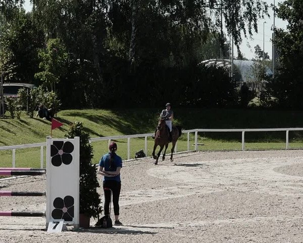 Pferdesporttage Bülach 2021