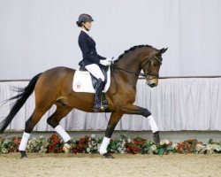 Dressurpferd Stromberg (Westfale, 2012, von San Amour I)