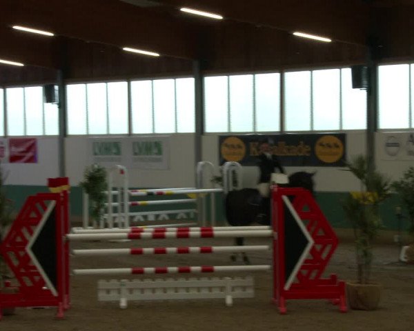 Reitturnier Warendorf-Freckenhorst 2020