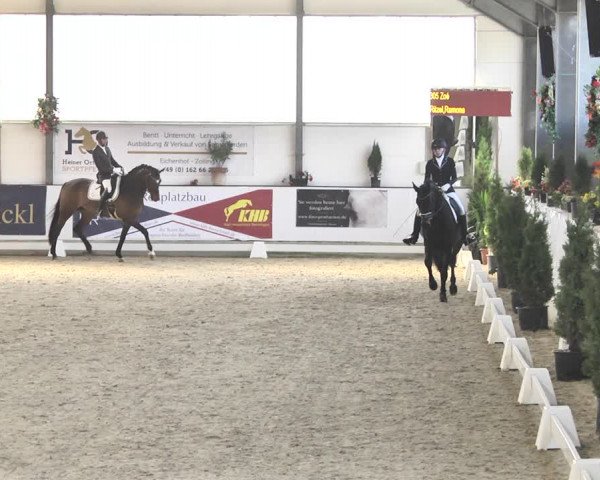 Reitturnier Karlsfeld/Obb. 2020