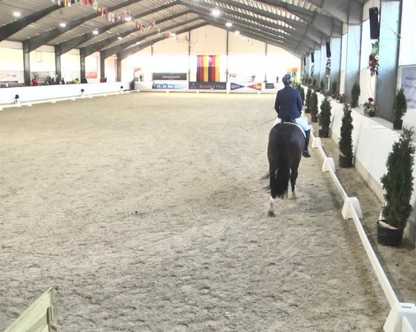 Reitturnier Karlsfeld/Obb. 2020