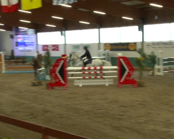 Reitturnier Warendorf-Freckenhorst 2020