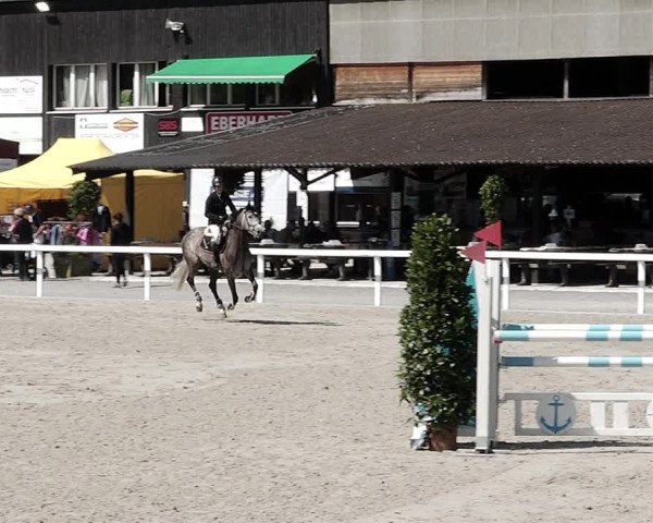 Pferdesporttage Bülach 2021
