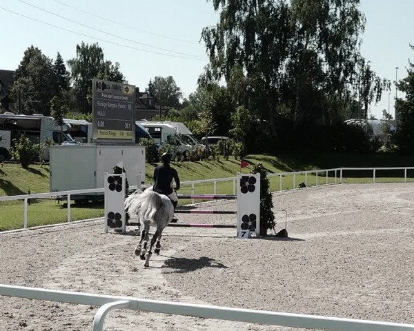 Pferdesporttage Bülach 2021