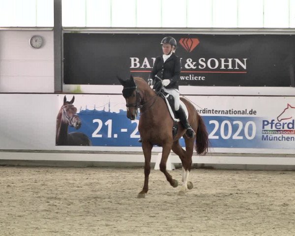 Reitturnier Karlsfeld/Obb. 2020