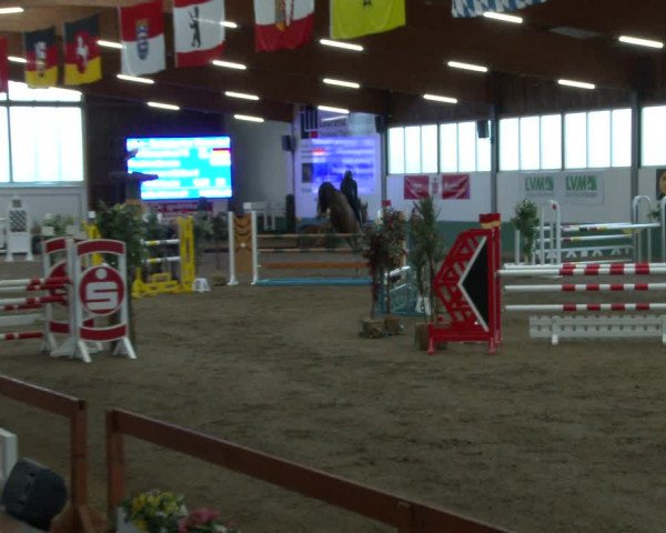 Reitturnier Warendorf-Freckenhorst 2020