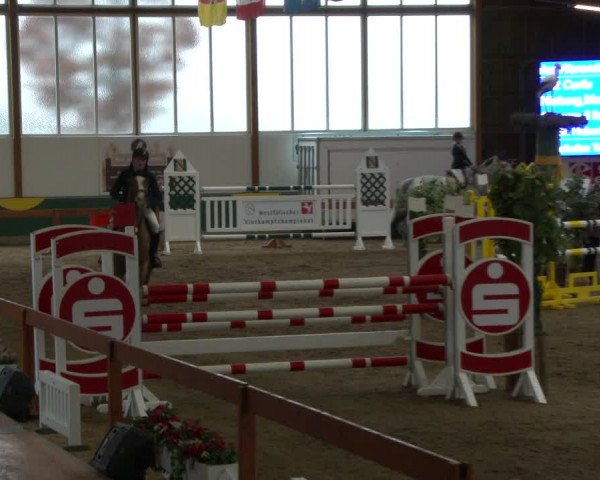 Reitturnier Warendorf-Freckenhorst 2020