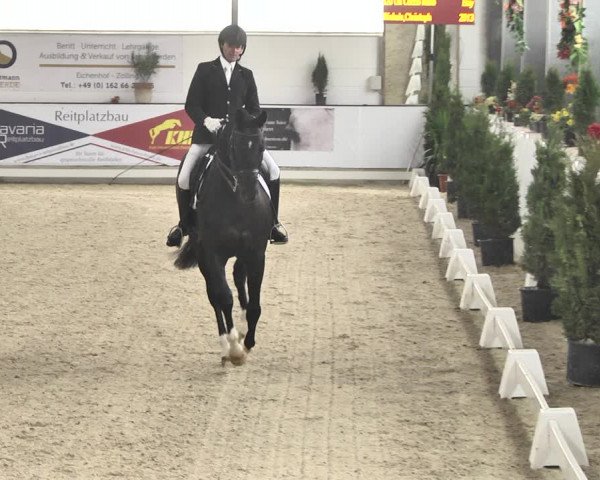 Reitturnier Karlsfeld/Obb. 2020