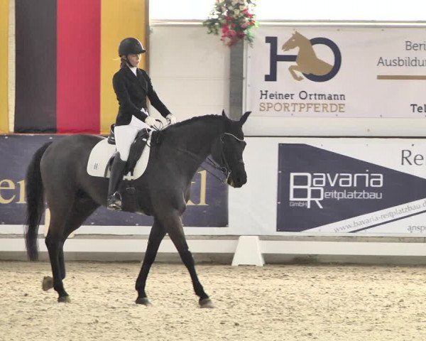 Reitturnier Karlsfeld/Obb. 2020