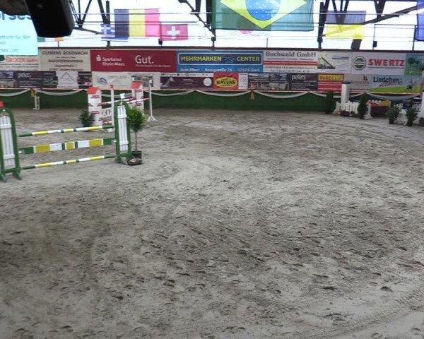 Reitturnier Keppeln - Reitanlage "Hötzenhof" 2020