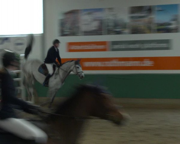 Reitturnier Warendorf-Freckenhorst 2020