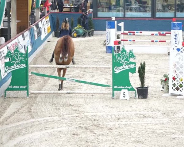 Reitturnier Oberriet 2020